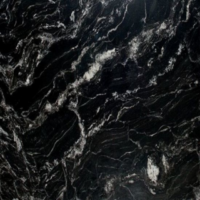 Forest Black
